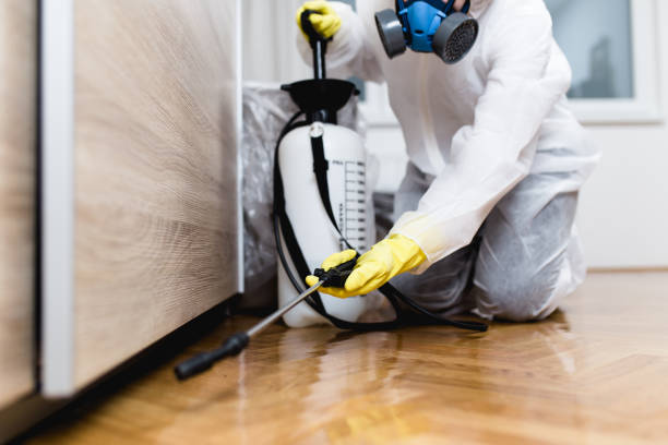Best Best Pest Control Companies  in Silverton, OH