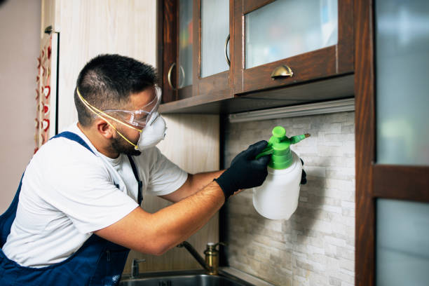 Best Bed Bug Extermination  in Silverton, OH