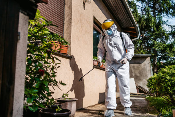 Best Cockroach Control Services  in Silverton, OH